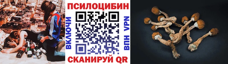 Псилоцибиновые грибы мухоморы  Новая Усмань 